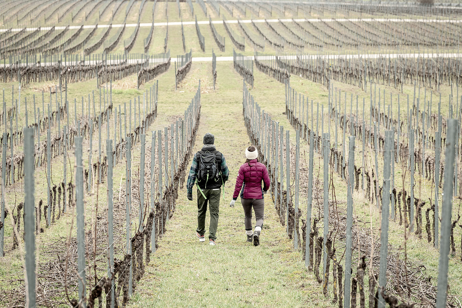  Jordans Untermühle - Weinwanderweg Region Rheinhessen
