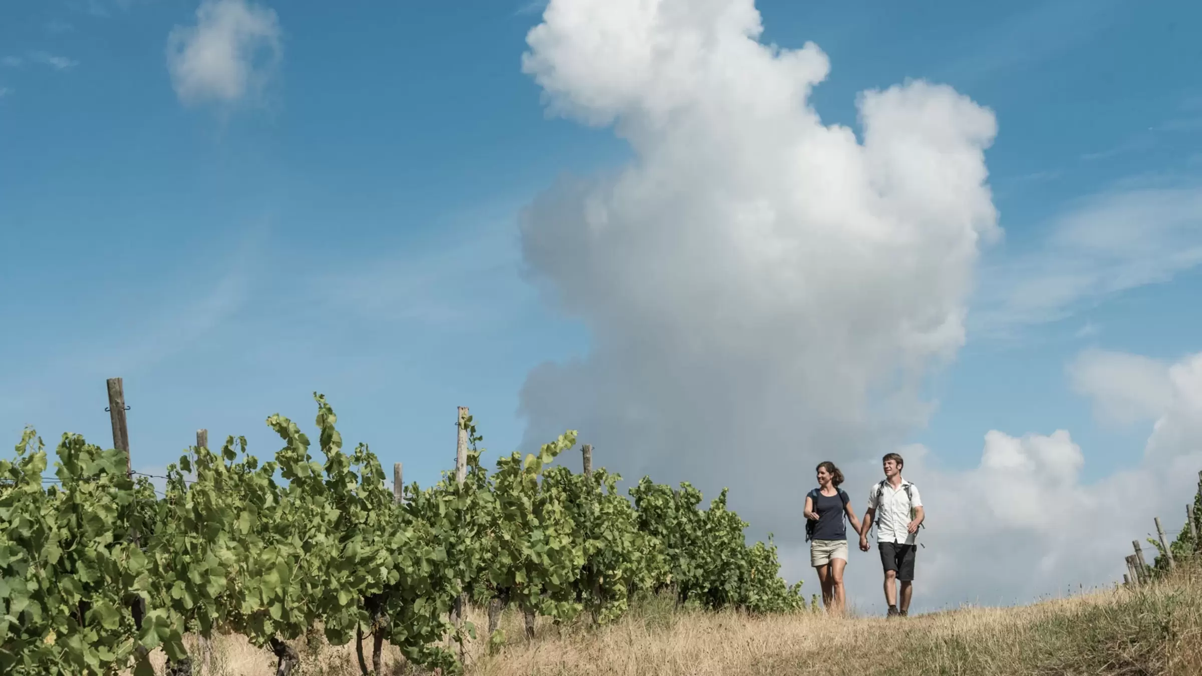 Jordans Untermühle - Wandern - Hiwwel Wandertouren Weinfelder