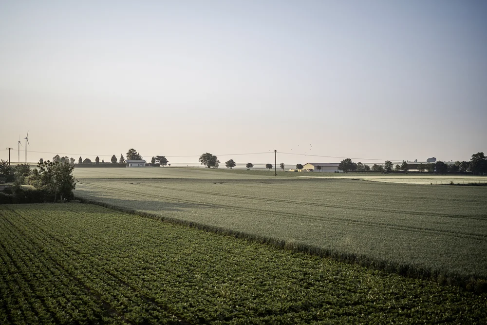 Jordan's Untermühle – grüne Wiesen bei Sonnenaufgang in Rheinhessen
