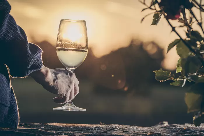 Jordan Untermühle - Wein - Glas Wein bei Sonnenuntergang