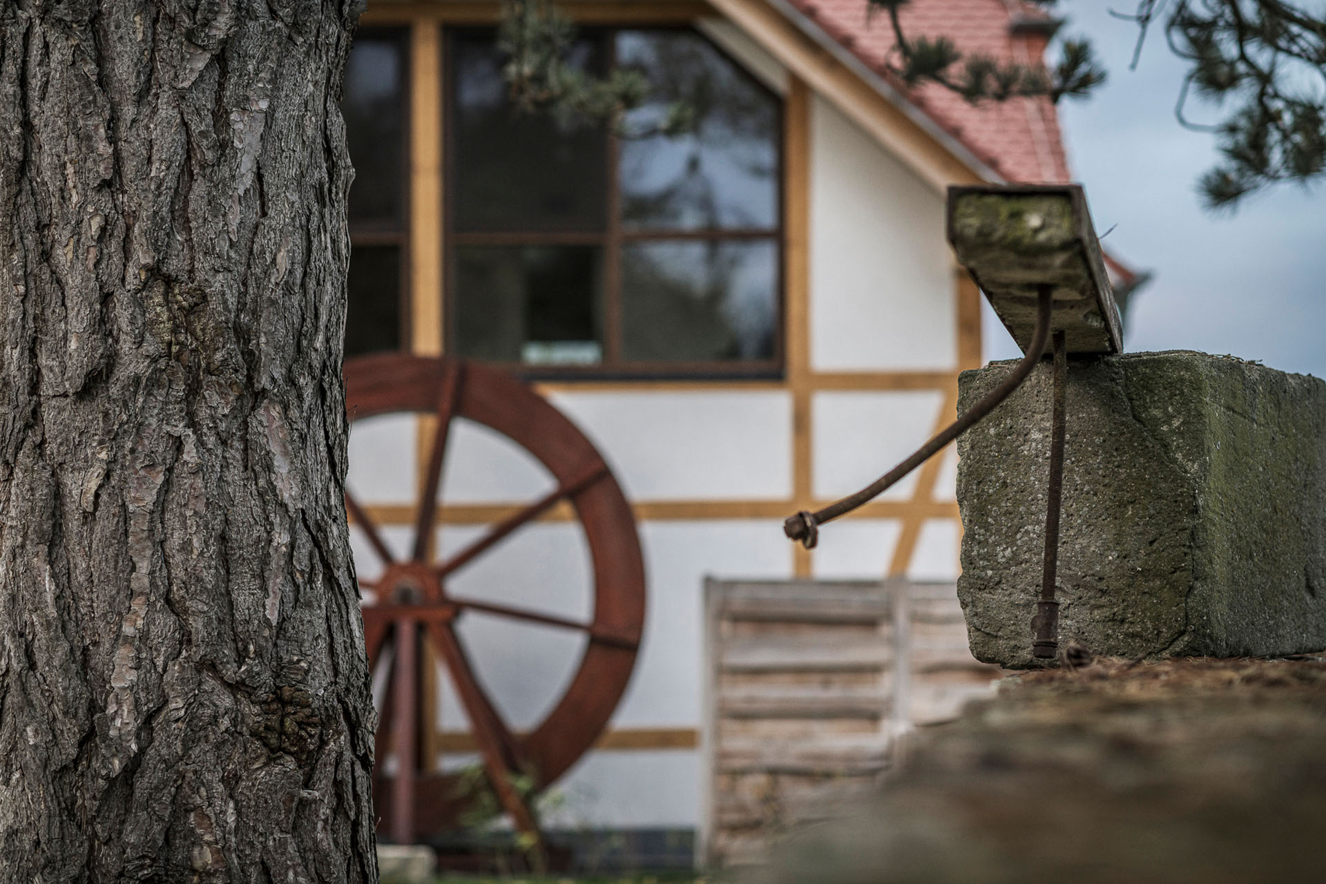 Jordan's Untermühle - Hotel außen - Nahaufnahme Baum