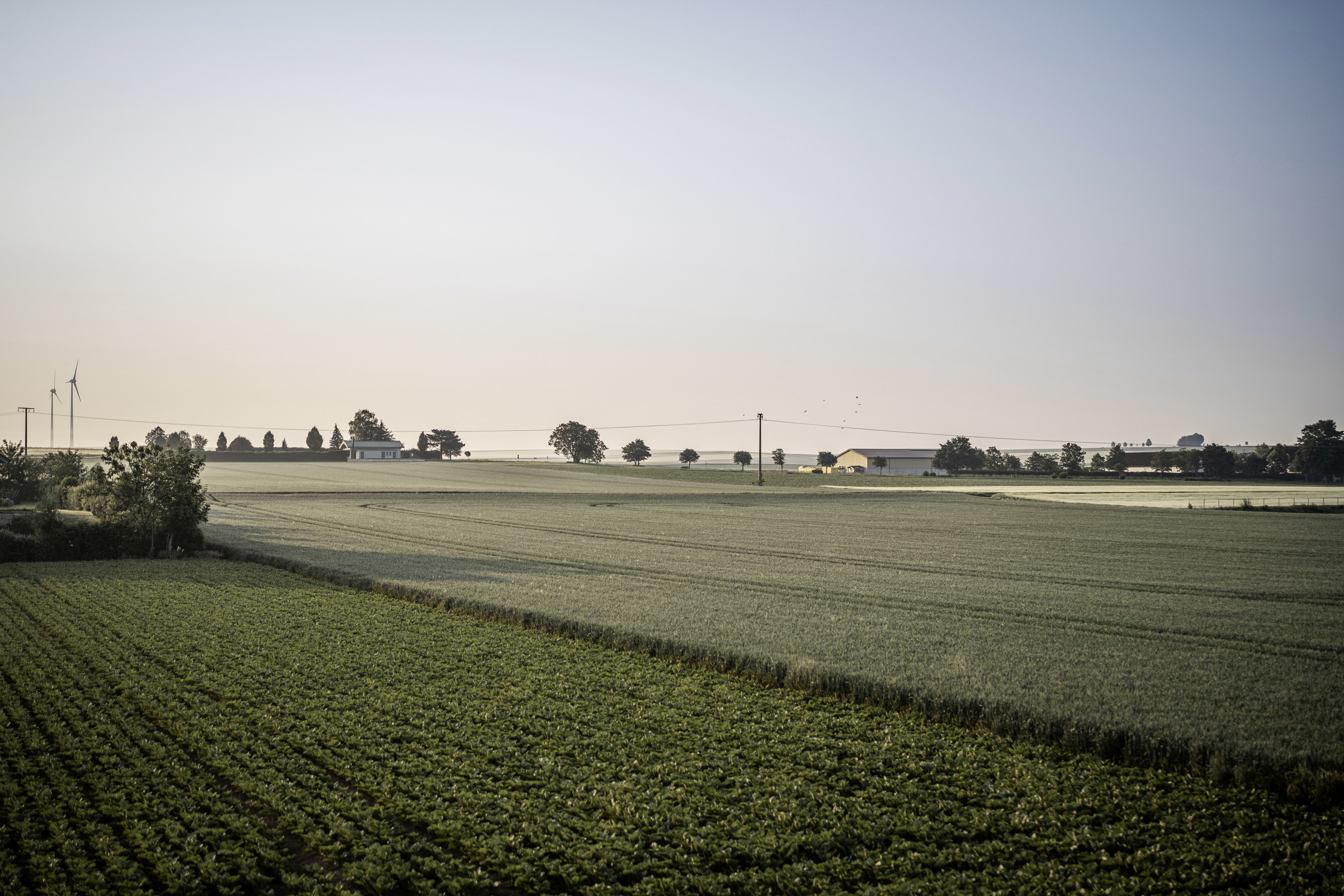 Jordan's Untermühle – grüne Wiesen bei Sonnenaufgang in Rheinhessen